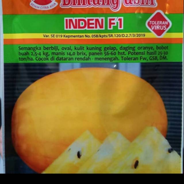 Benih semangka INDEN F1 20 gr