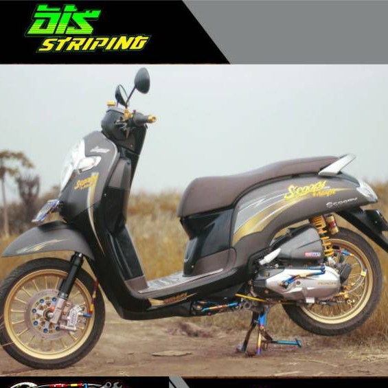 STRIPING SCOOPY NEW TRANSPARAN COSTUM STYLIST 0029