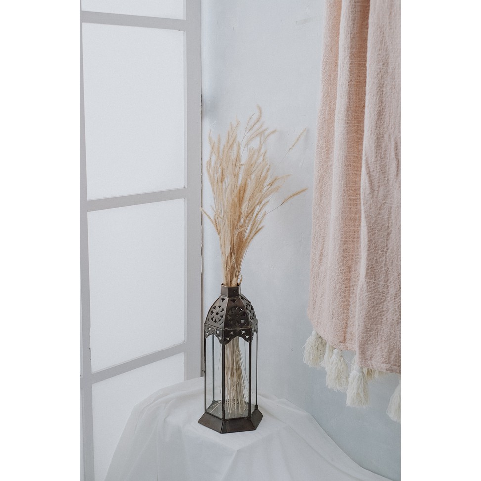 Dried Flower Ilalang / 9 PCS BUNGA KERING ILALANG