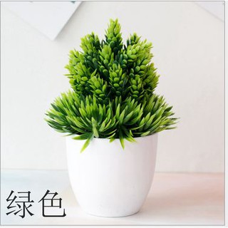 PTT ORNAMEN TANAMAN POHON PINUS ARTIFICIAL FLOWER PTT ORNAMEN TANAMAN POHON PINUS ARTIFICIAL FLOWER