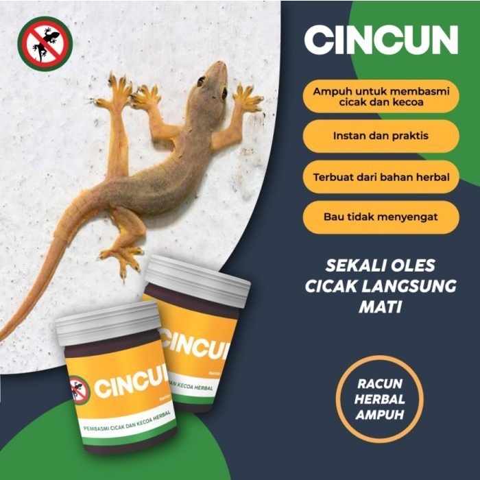 

Produk Terbaru Toxic Mori