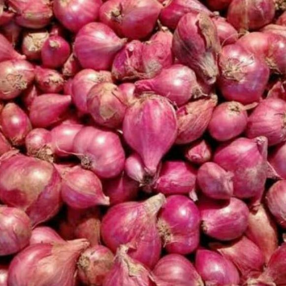 

PROMO 4.4 Bawang Merah ASLI BREBES Sedang 1 Kg