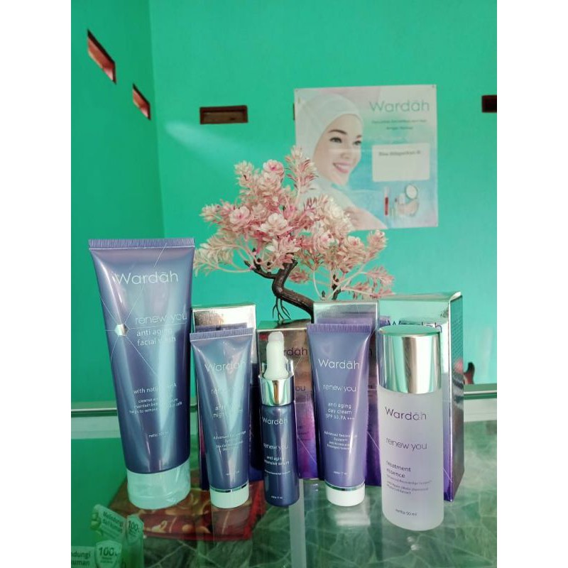 paket wardah renew you