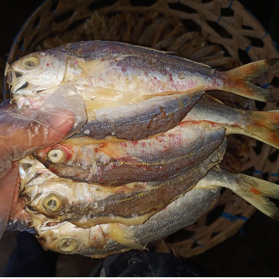 

Ikan Asin Kering Buah Nangka/Sinrilik Per Kilogram