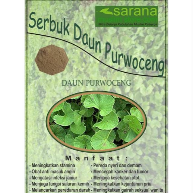 

Serbuk Bubuk Purwoceng Purwaceng Kemasan 250gr Asli Untuk Pria !!