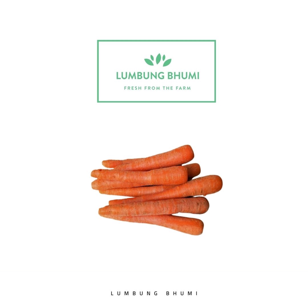 

Lumbung Bhumi - Wortel Lokal 200 Gr ( Sayur Curah )