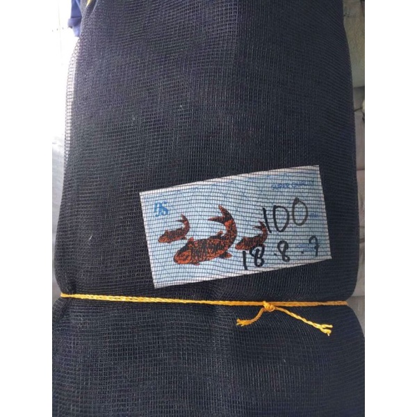 Waring Premium Cap 3 Ikan