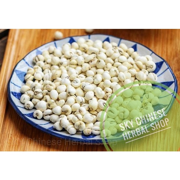 

Chuan Bei (Obat Batuk Anak) Premium/ Frittilaria Bulb