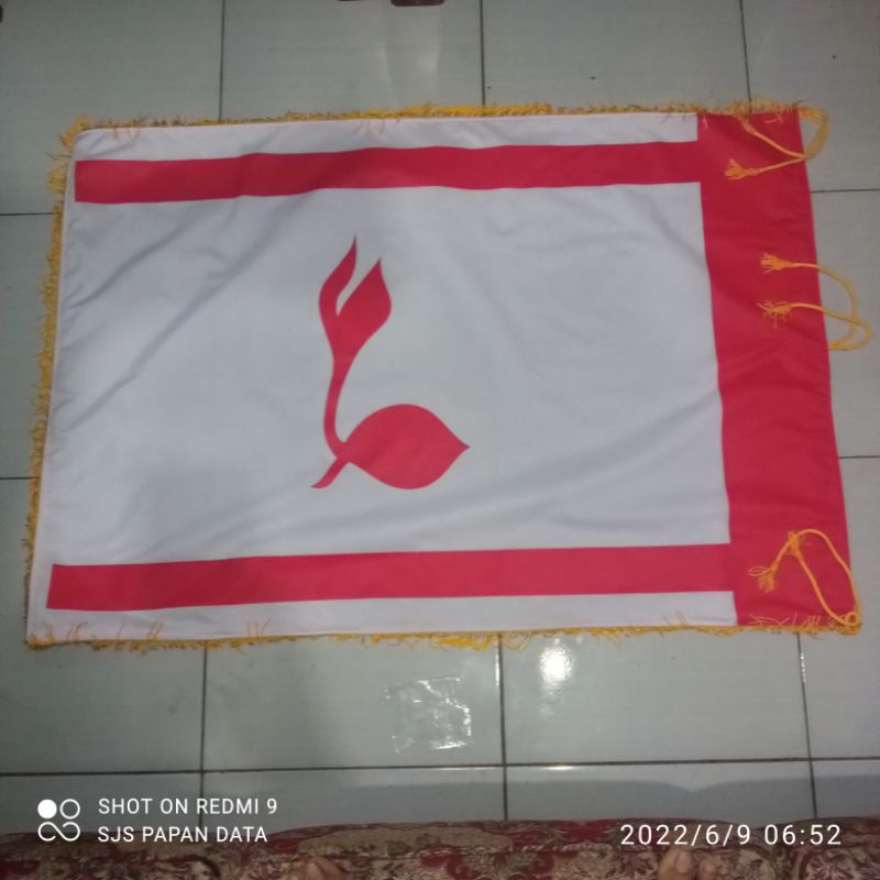 

Bendera pramuka Tunas Kelapa