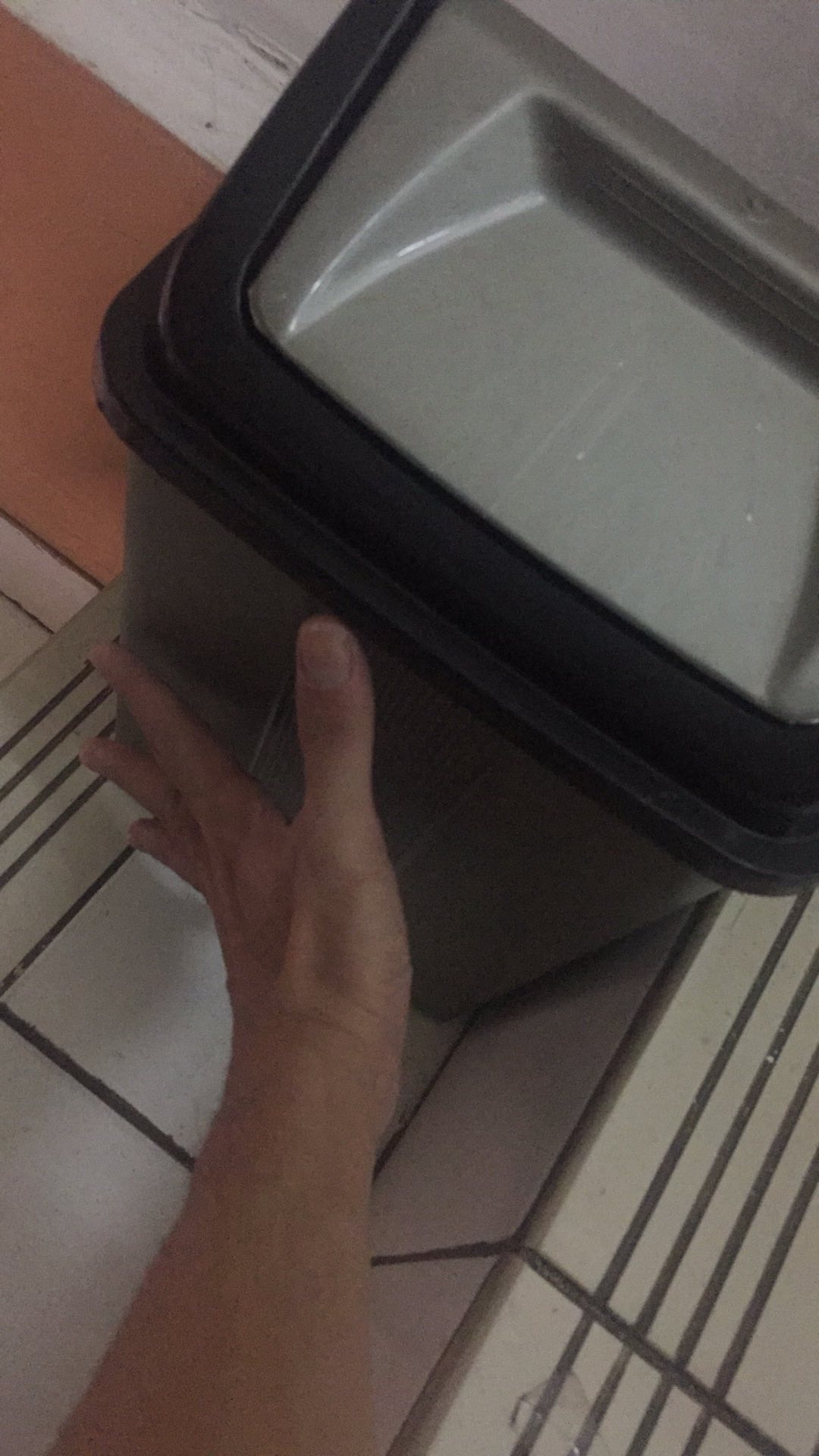 Tempat Sampah Goyang 10lt Diamond 10 Liter
