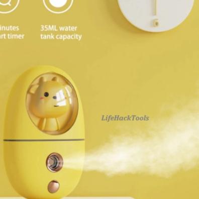 Cute Mini Nano Face Steamer 2021 35ML Spray Mist Sprayer MDL-Q801