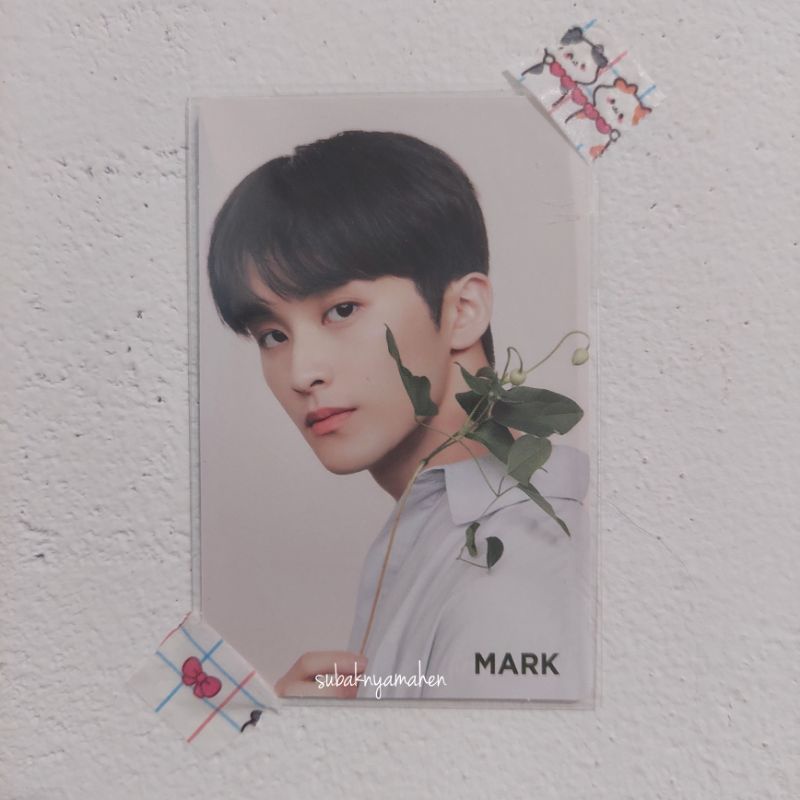 Mark natrep cica garden nature republic