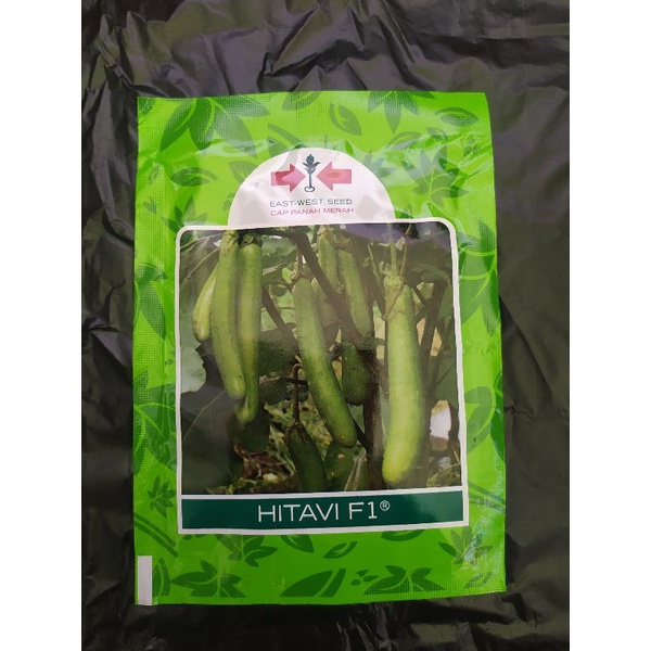Terong Hitavi F1 / terong hijau cap panah merah