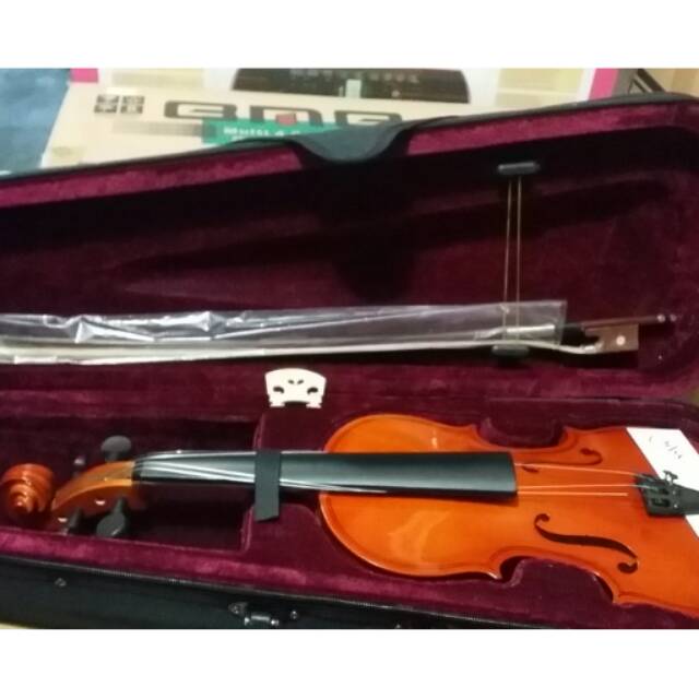 Biola vienna baru komplit
