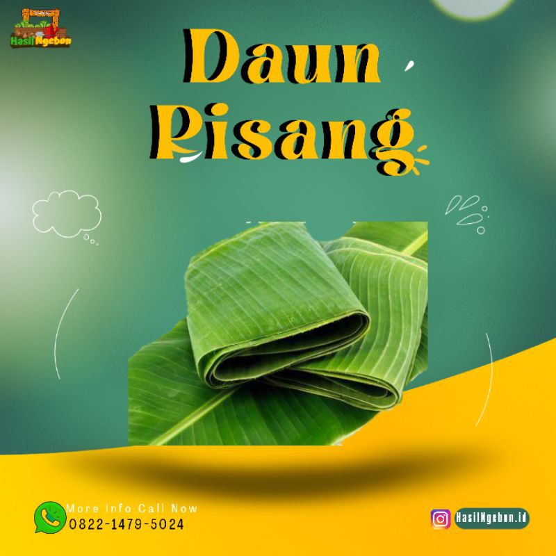 

DAUN PISANG 1 IKAT