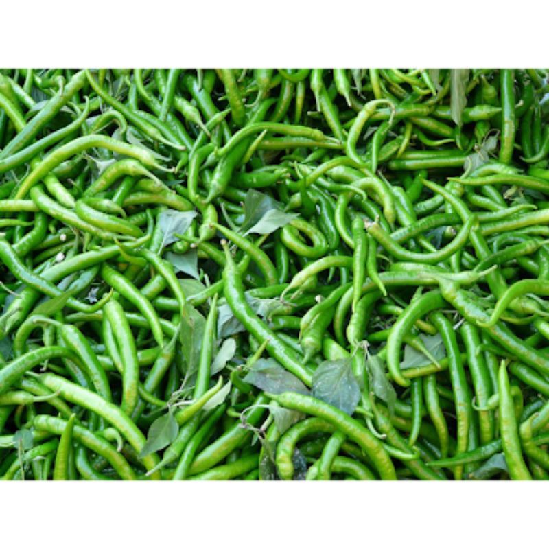 

cabe ijo keriting/1kg