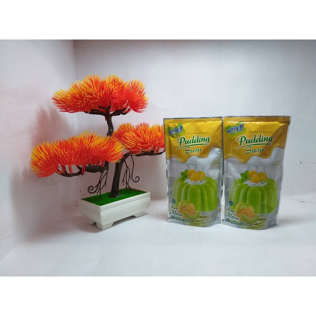 Nutrijell Pudding Susu Santan Lapis 145gr Serbuk Puding Bubuk Agar Instan Rasa Melon Halal Bpom