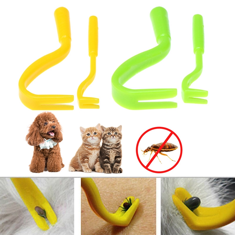dog grooming flea treatment