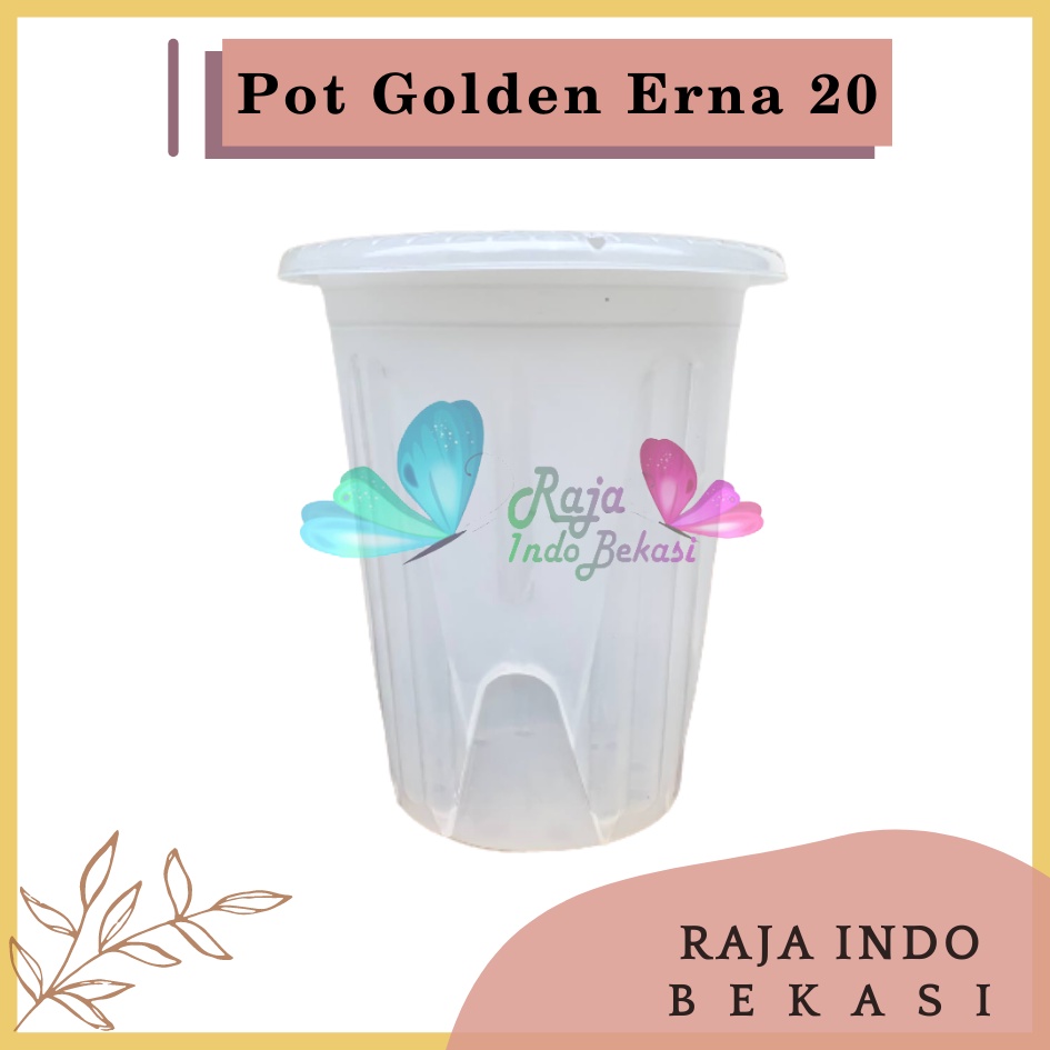 Pot Golden Erna 20 Transparan Bening Garden Of Love Mirip Pot Yogap 18 19 25 Murah Putih Coklat Merah Bata Bening Transparan Pot Yogap 18 19 25 Pot Yogap Murah Pot Bunga Tinggi Pirus Tegak Bagus Tebal