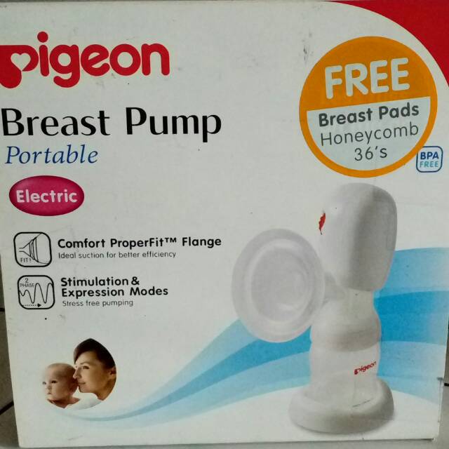 preloved pompa ASI pigeon