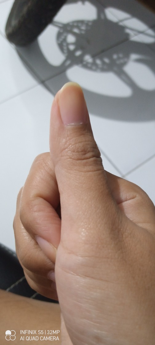 New Corn Cut Stripper Pisau Serut Perontok Jagung Generasi Dua Gen 2 Non Slip Soft Grib Alat Dapur