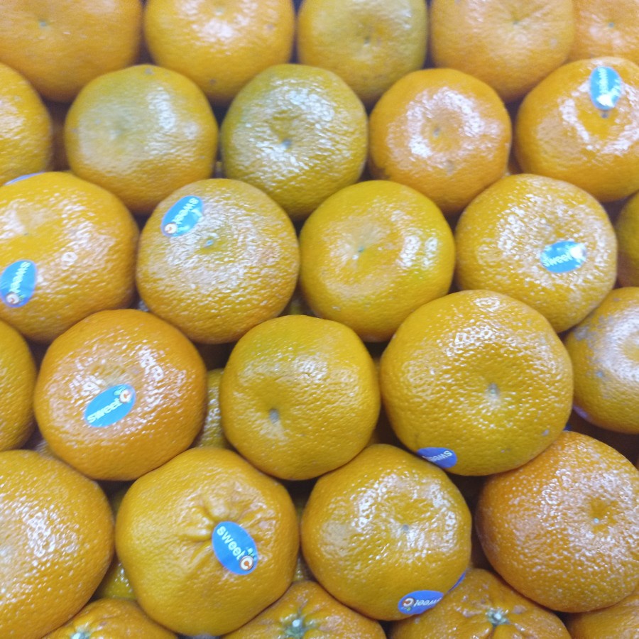 

Jeruk Nadorcot sweet Afrika Asli 1 kg
