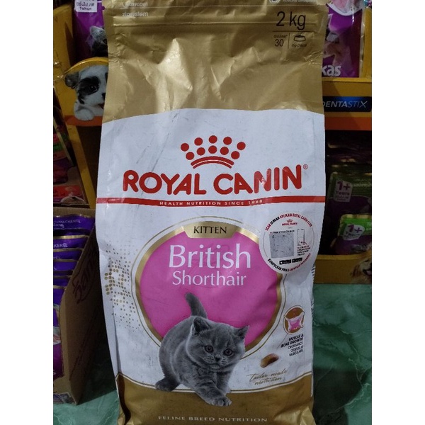 ROYAL CANIN BRITISH SHORTHAIR KITTEN 2 KG