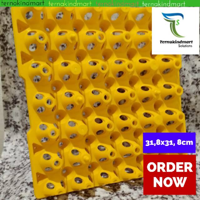 Tempat Telur Plastik - Egg Tray Besar MEDION