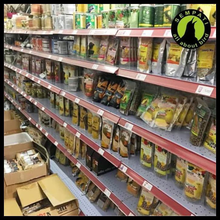 PLUIT MAINAN PANGGILAN BURUNG ELANG PARUH BENGKOK PARROT ULTRASONIC