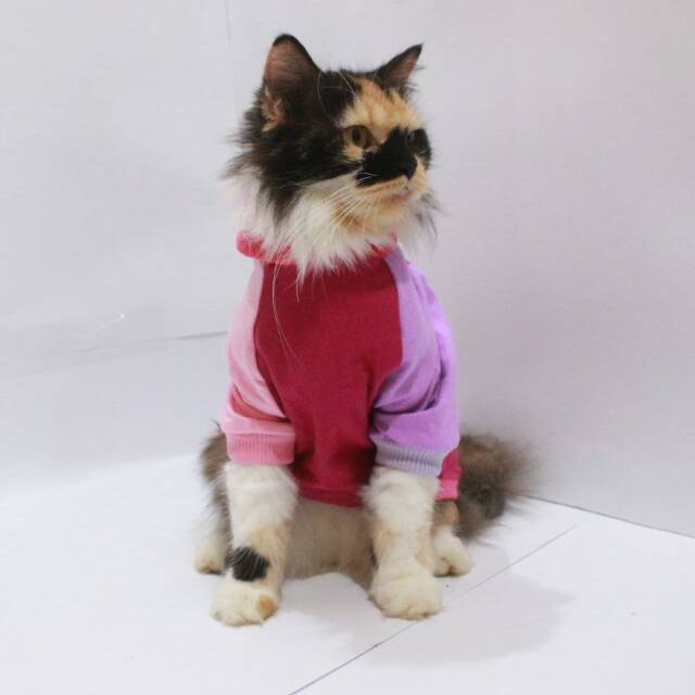 Kaos jumper hoodie joker 2 untuk kucing dan anjing size S-XL / baju kucing terlaris 2019