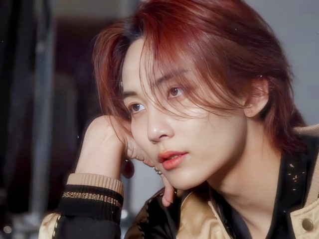 Box Container Practy Shinpo Cb 10 / Tempat Penyimpanan Barang Serbaguna Box Practy Shinpo Cb10