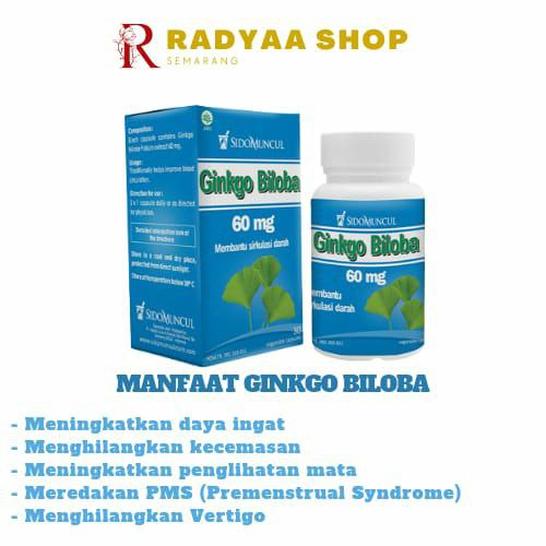 Vitamin Otak dan Peningkat Daya Ingat Ginkgo Biloba Sido Muncul