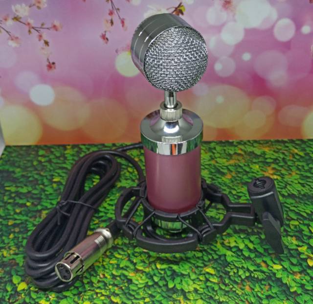 mic microphone recording bm 8000 + filter guard rekaman taff sudio taffware bm-8000 bm8000 jnp