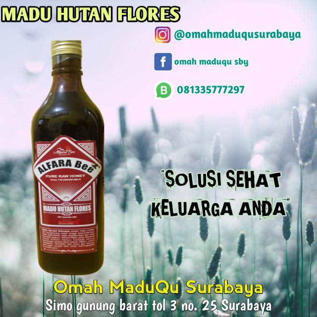 

Madu Hutan Flores Alfarabee