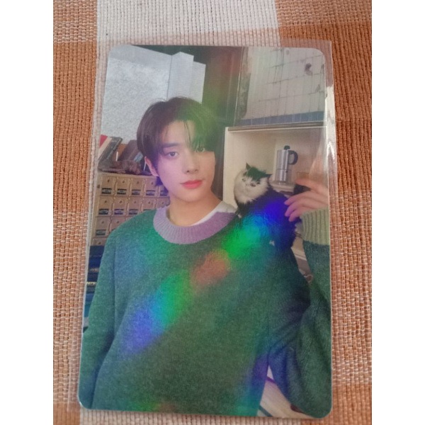 [READY] Official Photocard PC Album Enhypen Dimension Dilema holo jake / jake meong charybdis.