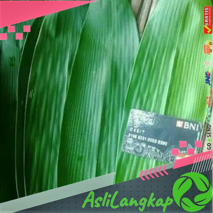 

Daun Bambu Bakcang | Daun Bambu Bakcang Jumbo | Daun Bambu Besar