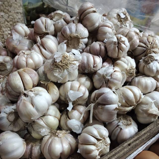 

Bawang putih murah