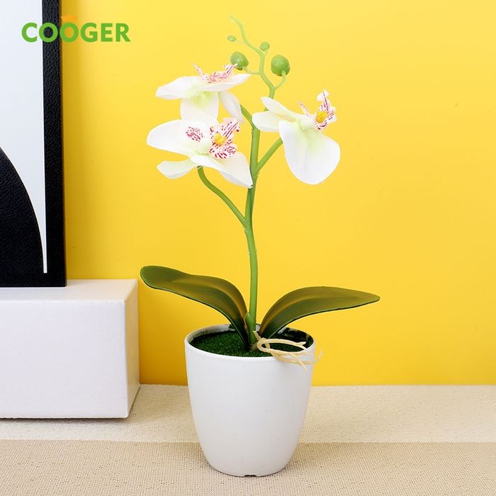 Bunga Anggrek Artificial Ukuran Sedang dengan Pot Plastik - Putih - Putih - Pink