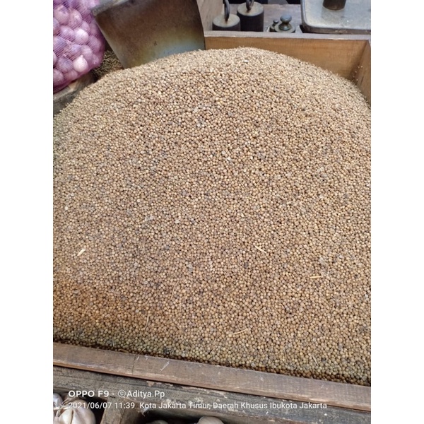 

[Bumi Mart] Lada Putih 1 kg