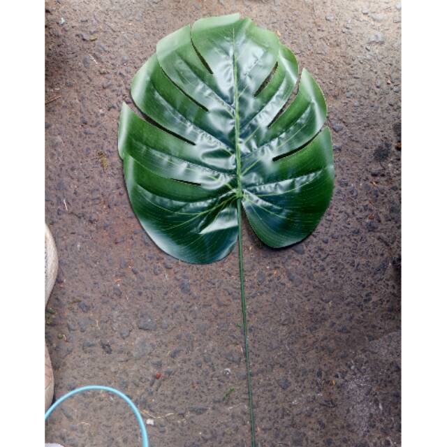Daun decorasi daun latex monstera  besar