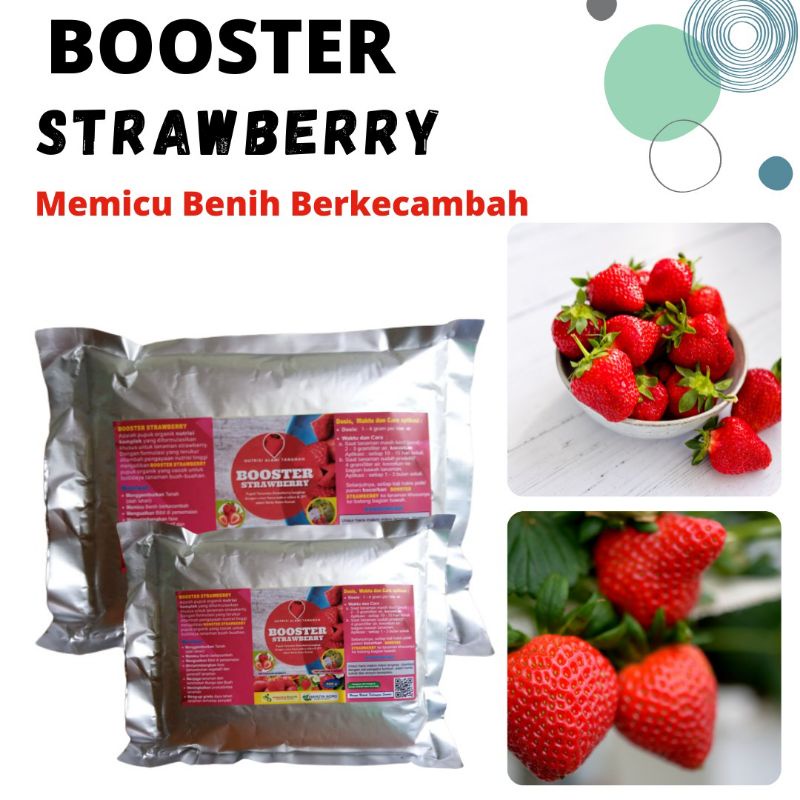 Booster Buah Strawberry, Pupuk Tanaman Strawberry Pelebat Buah Strawberry