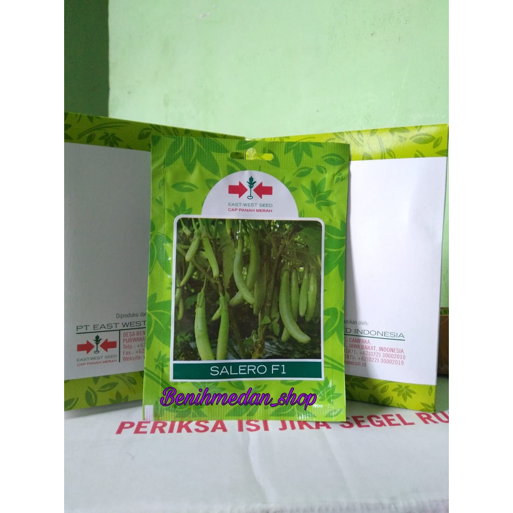 Benih Terong Hijau Salero F1 isi 400 butir