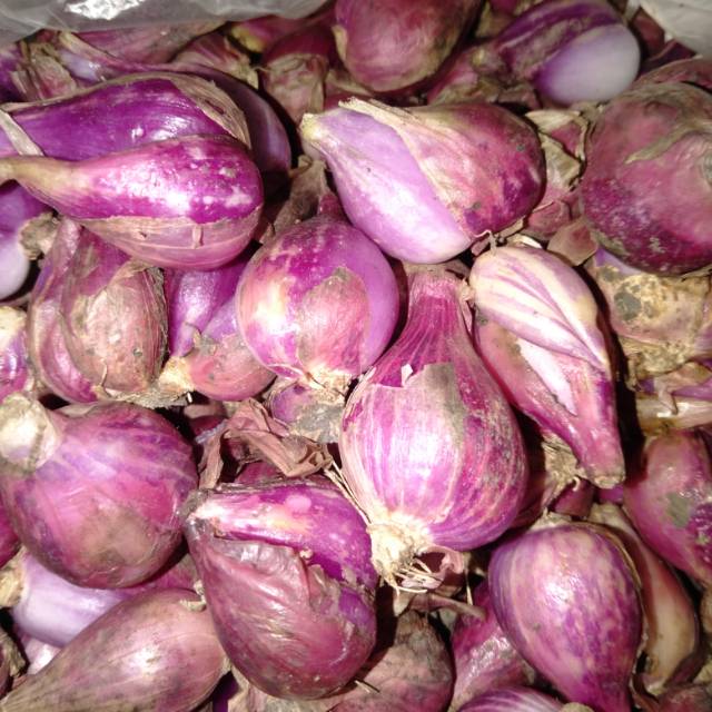 

Bawang merah super 250 gr