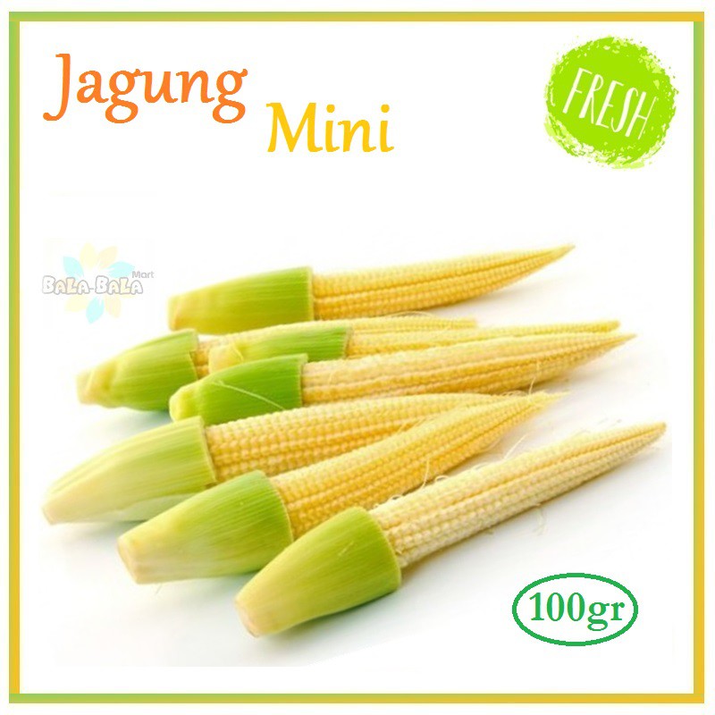 

JAGUNG MINI / JAGUNG MUDA FRESH