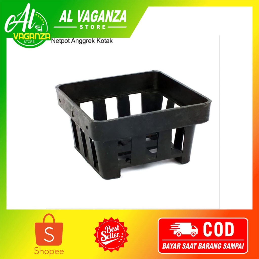 Pot Anggrek Vanda Kotak