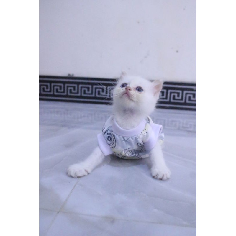 kaos rumahan motif daun abstrak lucu untuk kucing model terlengkap / baju kucing murah size S M L XL