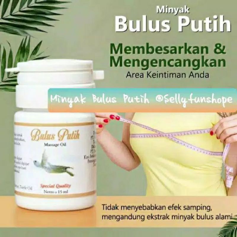 PEMBESAR PENGENCANG PAYUDARA BPOM AMAN CEPAT AMPUH MINYAK BULUS PUTIH ORI OIL MESSAGE PIJAT