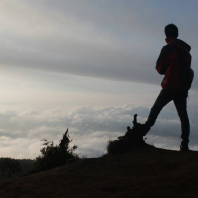 rivaiahmad75