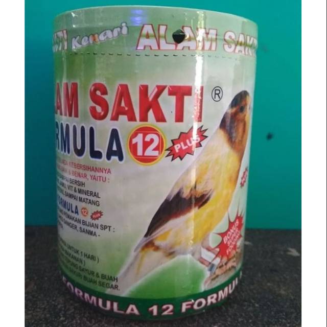 PAKAN BURUNG KENARI ALAM SAKTI KENARI BLACKTHROAT SANMA BRANJANGAN ALAM SAKTI