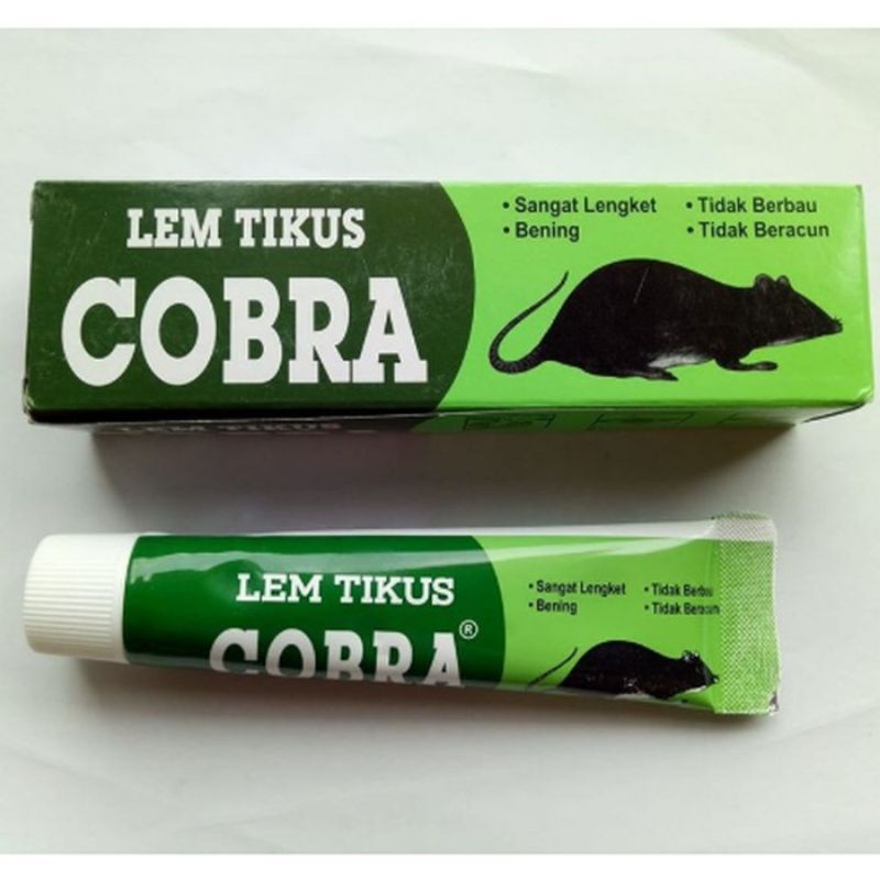 LEM TIKUS COBRA BERKUALITAS LEM TIKUS COBRA SUPER